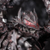 Berserk - Guts Berserker Armor - Figuarts Zero Touche Metalleque