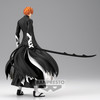 Bleach - Kurosaki Ichigo - Solid and Souls II