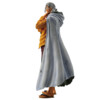 One Piece - Silvers Rayleigh - Beyond The Trials - Ichibansho