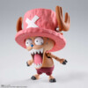 One Piece - Tony Tony Chopper - Drum Island - S.H. Chopper