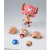One Piece - Tony Tony Chopper - Drum Island - S.H. Chopper