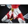 Saint Seiya - Seiya de Pegaso - Resina HQS +