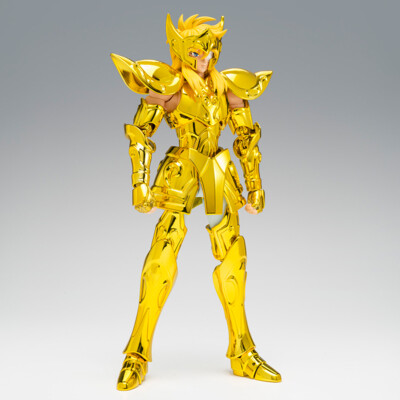 Saint Seiya Myth Cloth EX - Hyoga de Acuario - Inheritor of the gold cloth